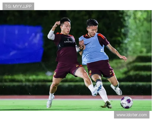 国家队集训备战世预赛核心球员回归引发球迷期待新战术磨合效果