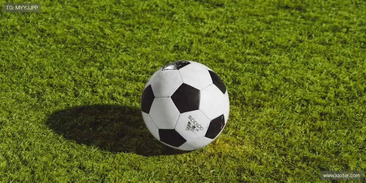 ⏰准时开播，分秒必争！📡稳定流畅，告别卡顿烦恼！